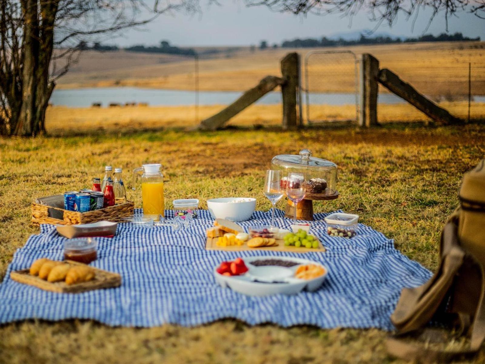 Buffalo Hills Private Game Reserve Harrismith Pokój zdjęcie